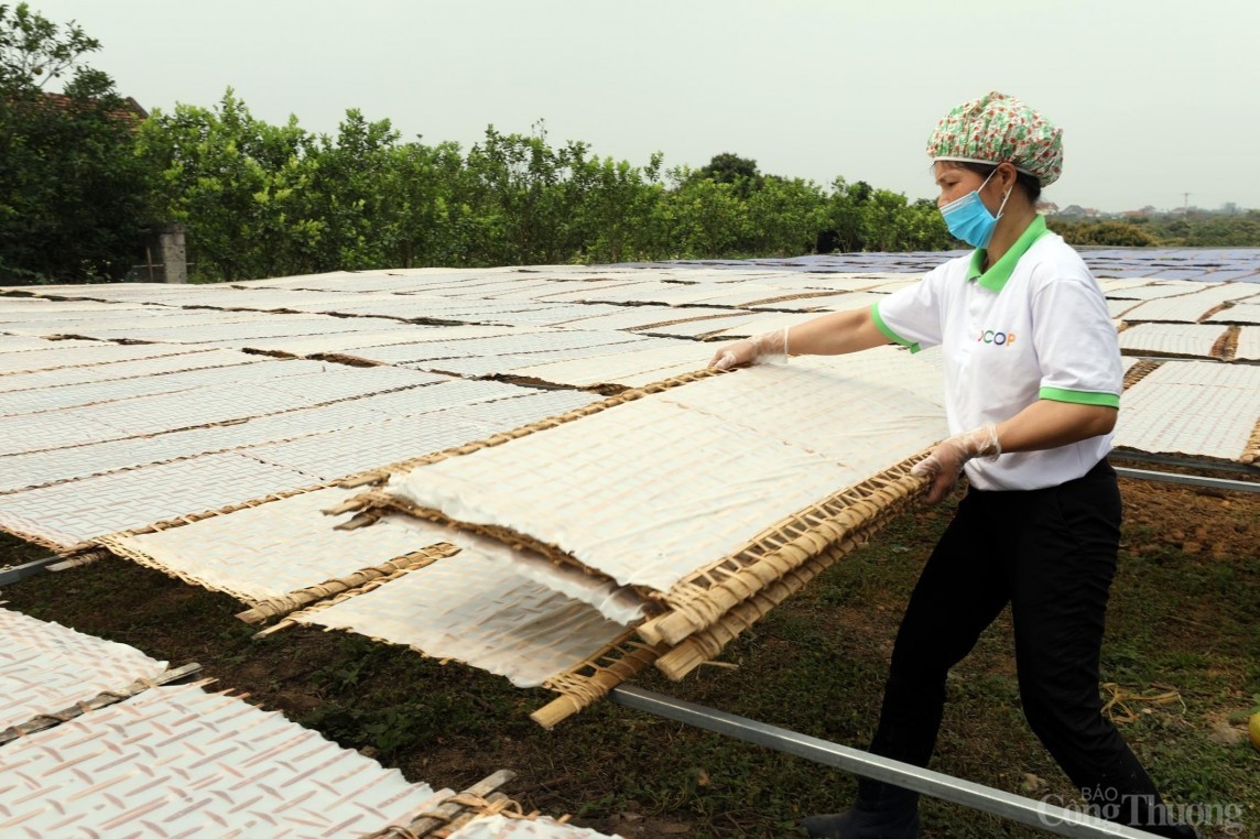 HTX sản xuất kinh doanh tiêu thụ mỳ Trại Lâm