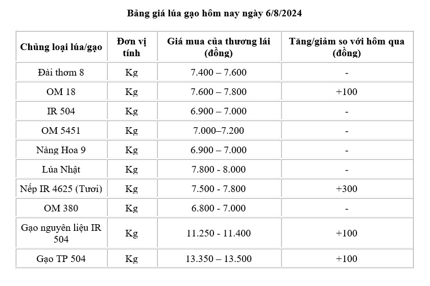 Giá lúa gạo hôm nay ngày 6/8/2024: Giá gạo tăng từ 50 -150 đồng/kg, giá lúa ổn định