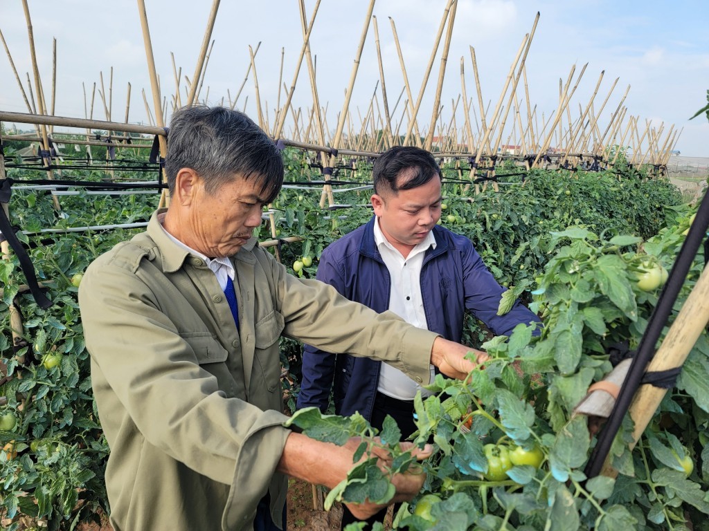 Ngành nông nghiệp Thủ đô “hồi sinh” sau bão, lũ