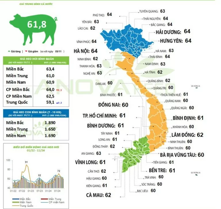 Giá heo hơi hôm nay 12/11/2024: