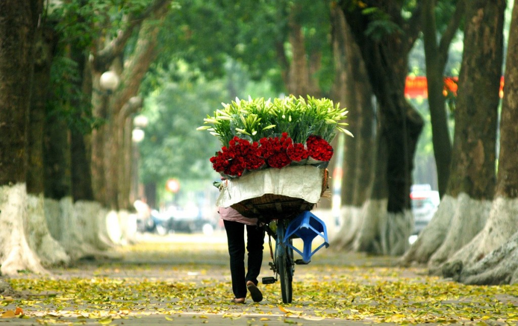 Hoài niệm thu Hà Nội với những dấu ấn thời gian