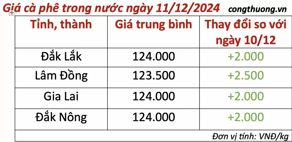 Giá cà phê hôm nay 11/12/2024: Giá cà phê tăng 2.000 đồng/kg