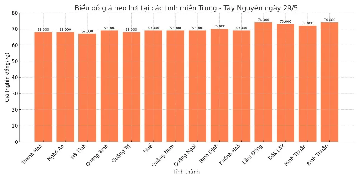Biểu đồ giá heo hơi tại các tỉnh miền Trung - Tây Nguyên ngày 29/5.