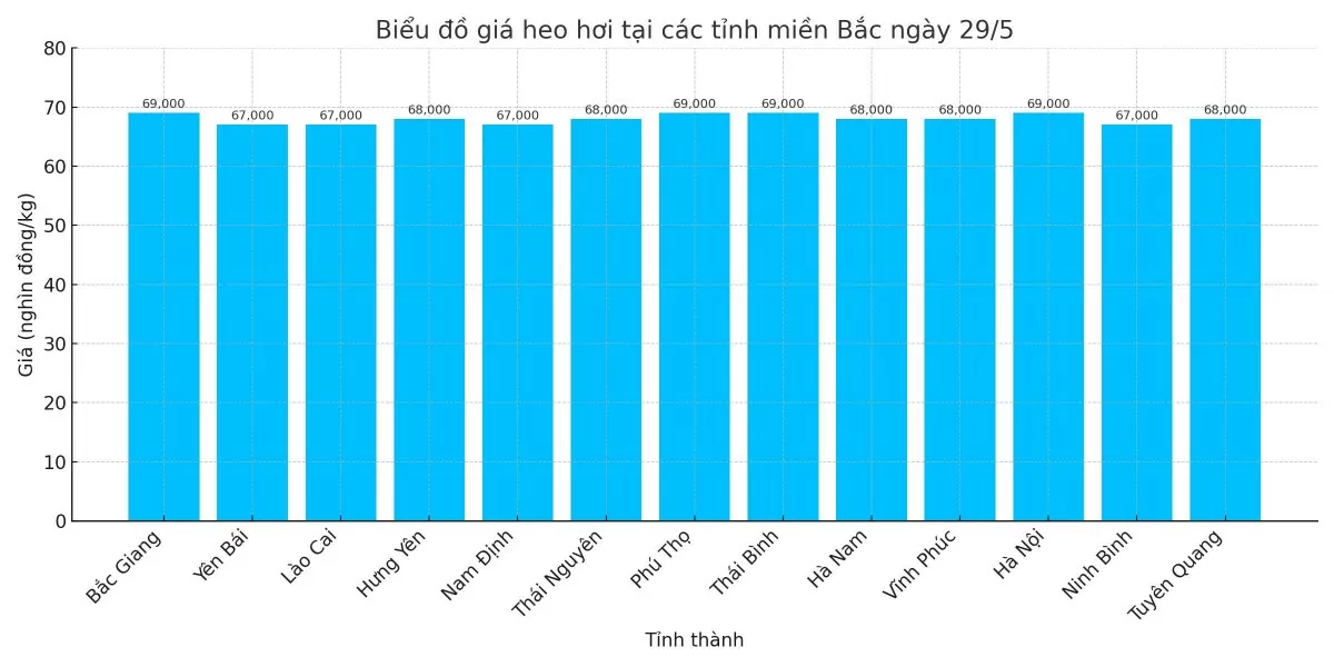 Biểu đồ giá heo hơi tại các tỉnh miền Bắc ngày 28/5.