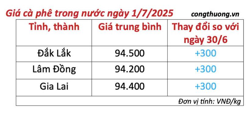 Bảng giá cà phê trong nước cập nhật sáng ngày 1/7/2025