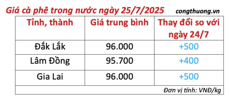 Bảng giá cà phê trong nước sáng ngày 25/7/2025