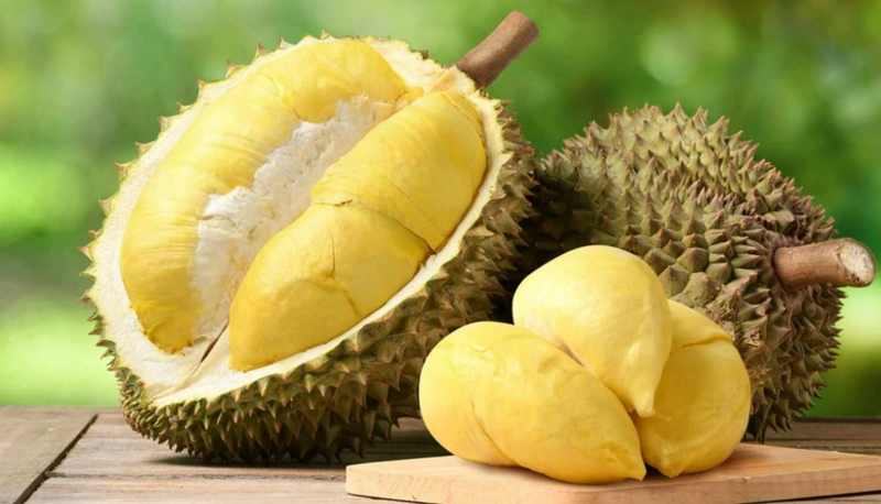 Xuất khẩu sầu riêng đang phục hồi mạnh mẽ.  Ảnh minh hoạ