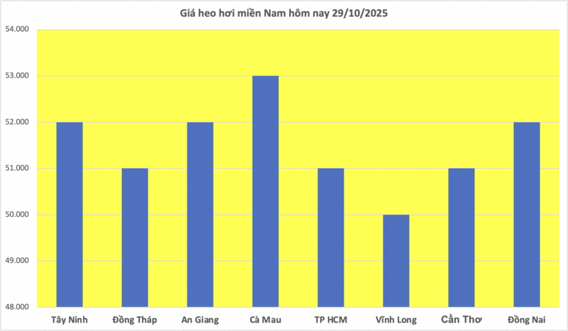 Giá heo hơi hôm nay 29/10/2025: Nhiều nơi giảm nhẹ - 3