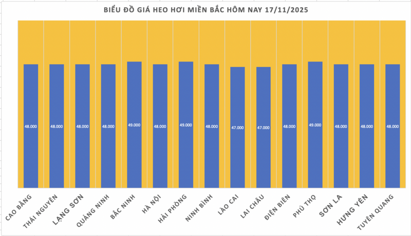 Giá heo hơi hôm nay 17/11/2025: Lặng sóng cả 3 miền - 1