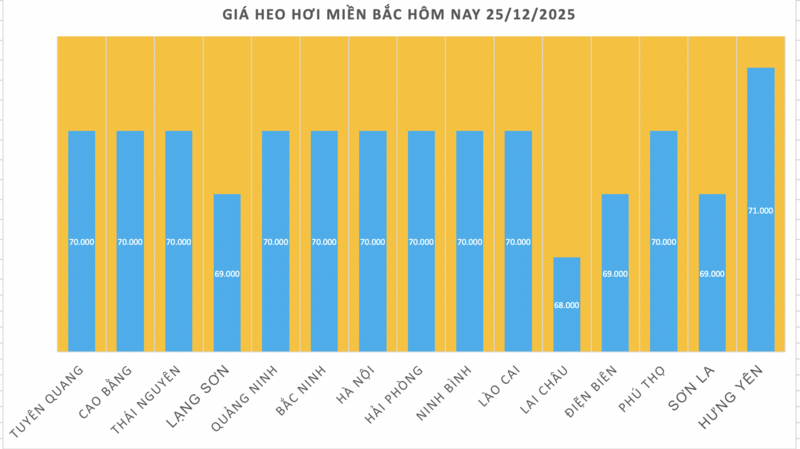 Giá heo hơi hôm nay 25/12/2025: Tiếp đà tăng miền Nam và miền Trung - 1