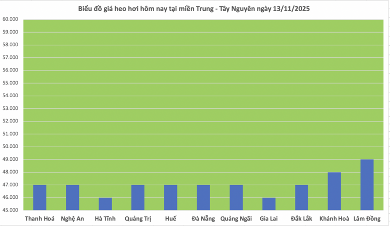 Giá heo hơi hôm nay 13/11/2025: Giảm rải rác ở miền Trung và miền Nam - 2