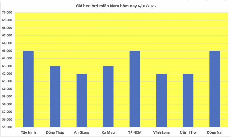 Giá heo hơi hôm nay 6/1/2026: Tăng 1.000 đồng  - 3