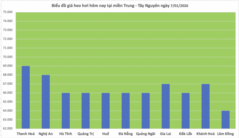 Giá heo hơi hôm nay 7/1/2026: Miền Bắc trở lại đỉnh 70.000 đồng/kg - 2