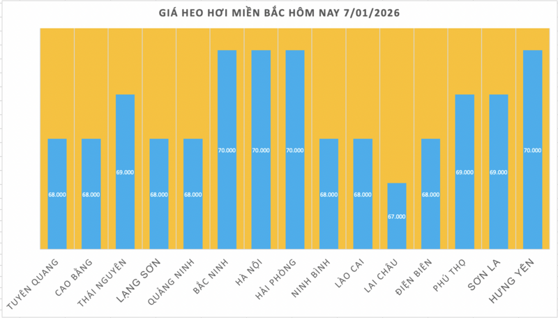 Giá heo hơi hôm nay 7/1/2026: Miền Bắc trở lại đỉnh 70.000 đồng/kg - 1