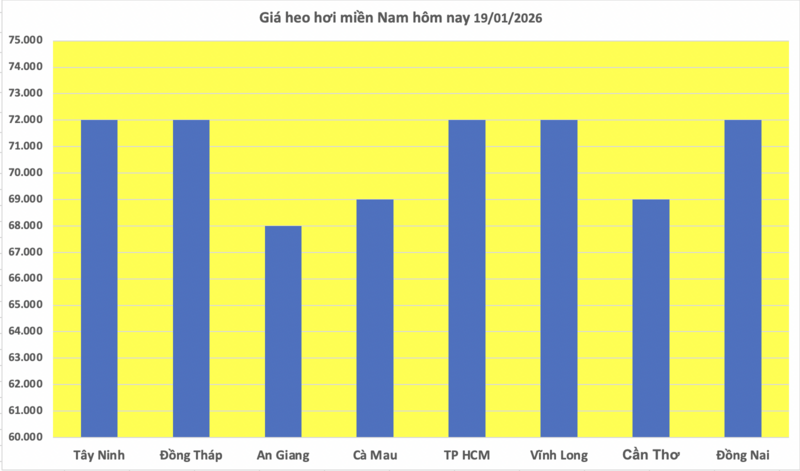 Giá heo hơi hôm nay 19/1/2026: Tăng đồng loạt tại miền Trung, miền Nam - 3