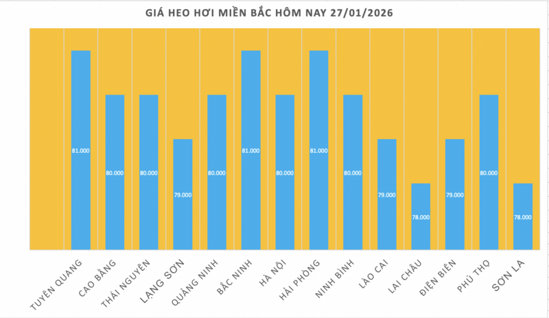 Giá heo hơi hôm nay 27/1/2026: Tăng mạnh, miền Bắc lập 'đỉnh' mới - 1