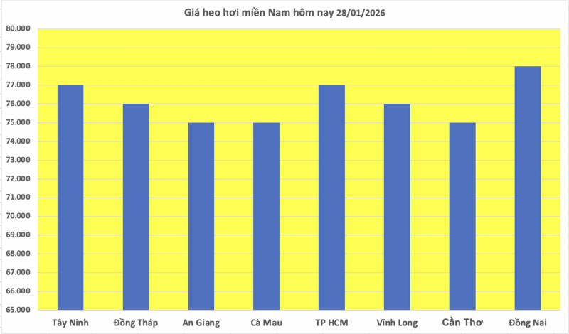 Giá heo hơi hôm nay 28/1/2026: Tiếp đà đi lên - 3