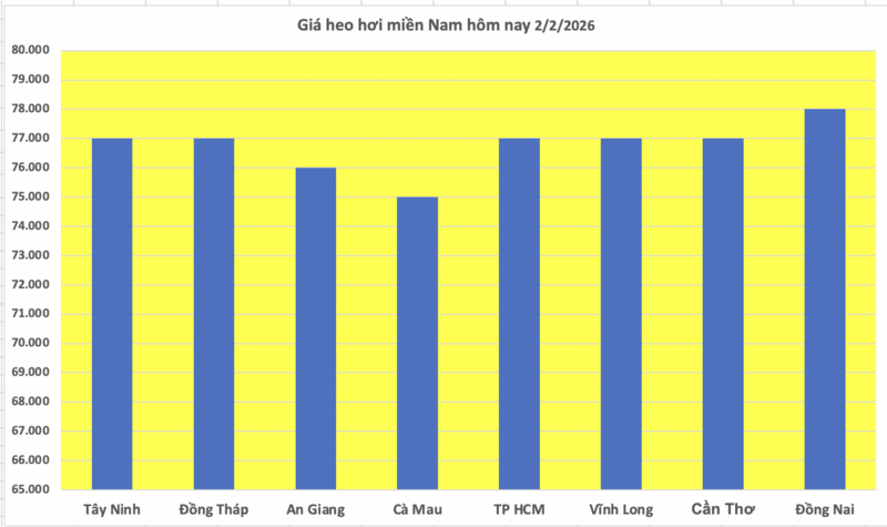 Giá heo hơi hôm nay 2/2/2026: Giảm diện rộng tại miền Bắc, miền Trung - 3