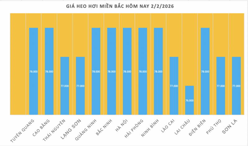 Giá heo hơi hôm nay 2/2/2026: Giảm diện rộng tại miền Bắc, miền Trung - 1