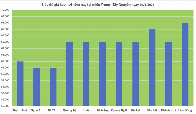 Giá heo hơi hôm nay 30/3/2026: Tiếp tục giảm nhiều nơi - 2