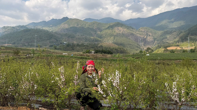 Chị Dung là một trong những thành viên tích cực hỗ trợ bà con tiêu thụ hoa đào, nhất chi mai và miến dong trong dịp Tết Nguyên đán vừa qua