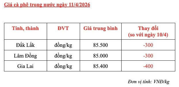Giá cà phê hôm nay 11/4/2026: Giảm 300 - 400 đồng/kg - 5