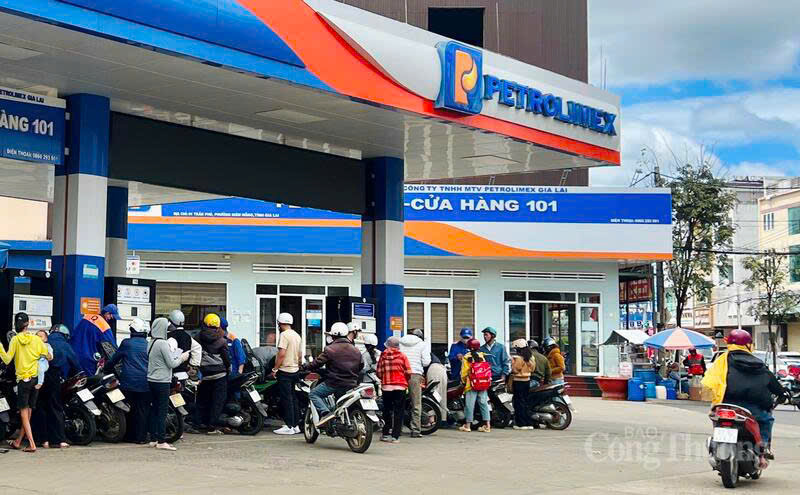 Toàn tỉnh Gia Lai có 10 thương nhân đầu mối, 11 thương nhân phân phối và 733 cửa hàng bán lẻ, tạo thành mạng lưới cung ứng rộng khắp.