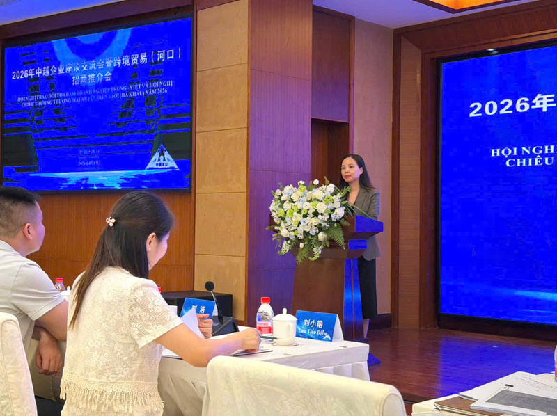 Bà Nguyễn Thị Thu Thủy - Phó Giám đốc Trung tâm Hỗ trợ xúc tiến thương mại và đầu tư phát biểu tại Tọa đàm, giới thiệu các cơ hội hợp tác kinh doanh, đầu tư với Việt Nam