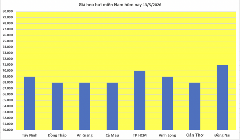 Giá heo hơi hôm nay 13/5/2026: Tăng vài nơi tại miền Bắc, miền Trung - 3