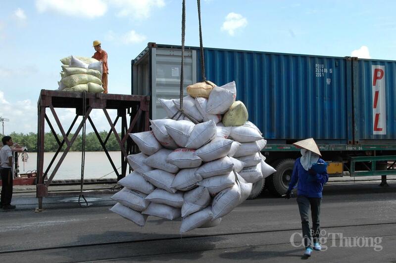 Gạo là một trong những mặt hàng xuất khẩu chủ lực sang Trung Quốc. Ảnh: Cấn Dũng
