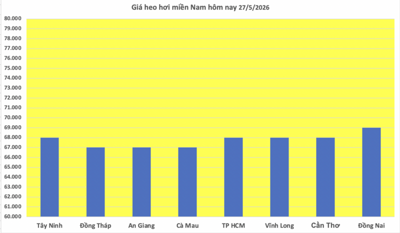 Giá heo hơi hôm nay 27/5/2026: Giảm đồng loạt tại miền Trung, miền Nam - 3