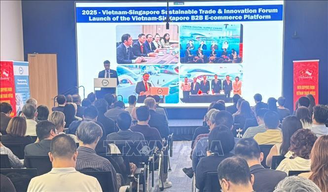 Chương trình “Kết nối doanh nghiệp bền vững và đầu tư xã hội năm 2026” giữa Việt Nam và Singapore. Ảnh: Ngọc Khương/TTXVN.