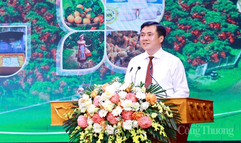 Thứ trưởng Bộ Công Thương Nguyễn Sinh Nhật Tân. Ảnh: Đăng Khoa