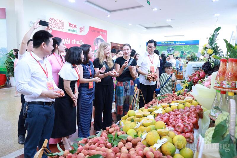Nhiều khách nước ngoài thích thú khi thưởng thức trái vải bên lề hội nghị. Ảnh: Đăng Khoa
