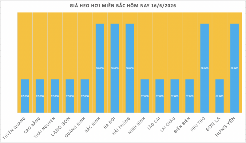 Giá heo hơi hôm nay 16/6/2026: Giảm rải rác tại miền Trung, miền Nam - 1