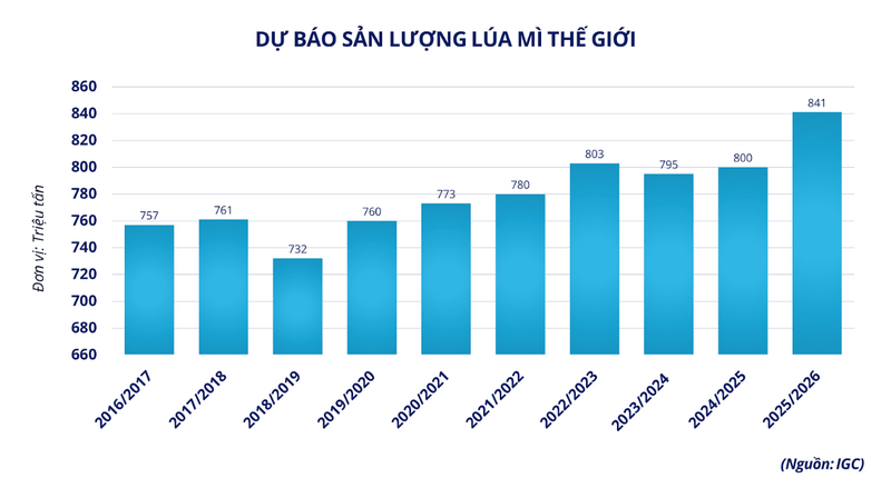 Dự báo sản lượng lúa mì thế giới. Nguồn: MXV