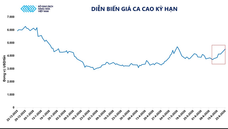 Diễn biến giá ca cao kỳ hạn. Nguồn: MXV