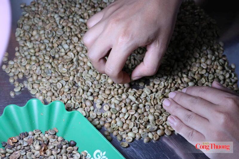 Chế biến cà phê tại Gia Lai