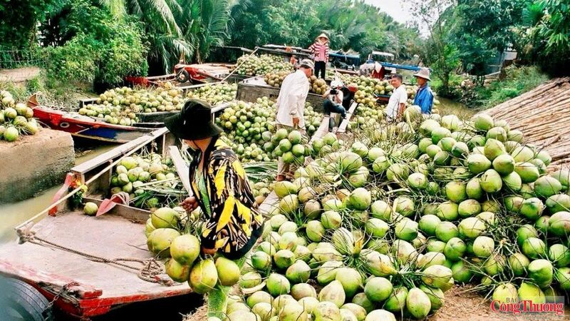 Những giải pháp tăng trưởng được triển khai quyết liệt đang giúp Vĩnh Long bứt phá trong 6 tháng cuối năm, hướng tới trở thành cực tăng trưởng của vùng ĐBSCL.