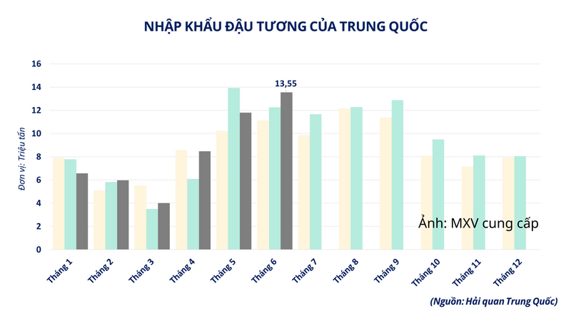 Nhập khẩu đậu tương của Trung Quốc