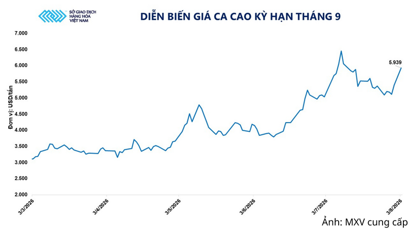 Diễn biến giá ca cao kỳ hạn tháng 9.