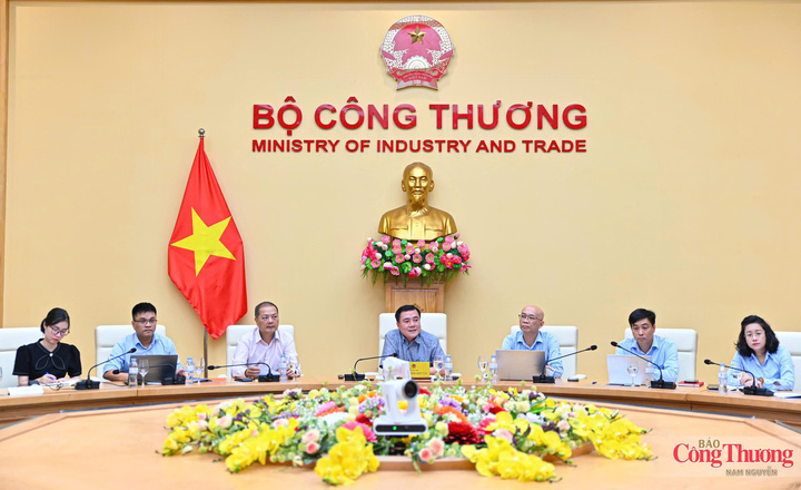 Thứ trưởng Nguyễn Sinh Nhật Tân phát biểu kết luận cuộc họp.