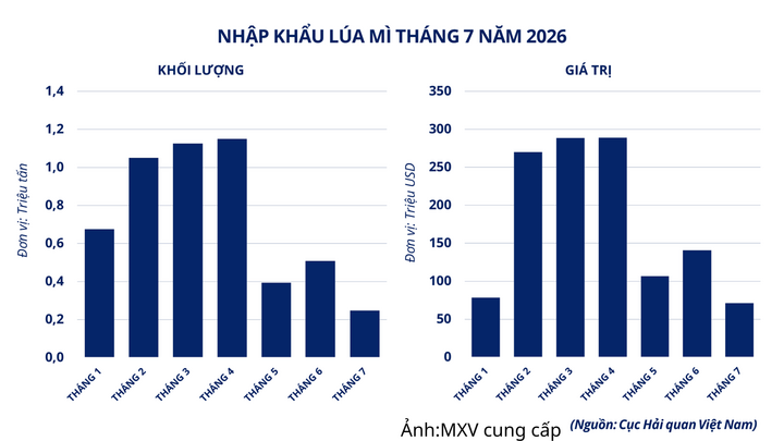 Nhập khẩu lúa mì của Việt Nam tháng 7/2026.