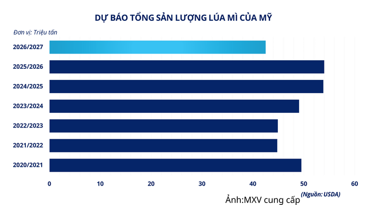 Dự báo tổng sản lượng lúa mì của Mỹ.
