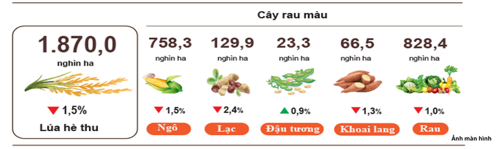 Diện tích gieo trồng một số cây hằng năm (tính đến ngày 20/8/2026).