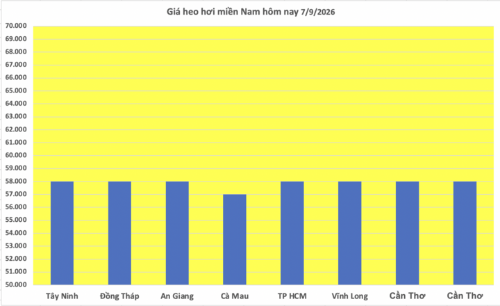 Giá heo hơi hôm nay 7/9/2026: Dao động từ 57.000 - 60.000 đồng/kg - 3