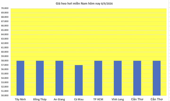 Giá heo hơi hôm nay 8/9/2026: Giữ đà bình ổn - 3