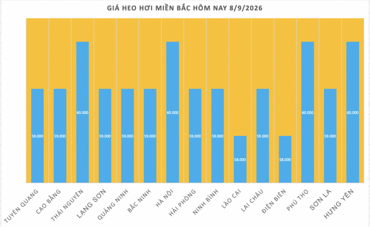 Giá heo hơi hôm nay 8/9/2026: Giữ đà bình ổn - 1