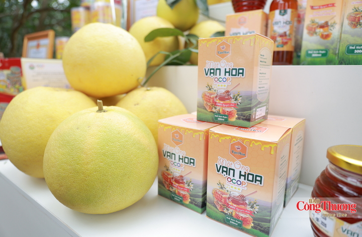 Hà Tĩnh: Đưa nông sản OCOP vươn xa qua phiên Mega Live - 10