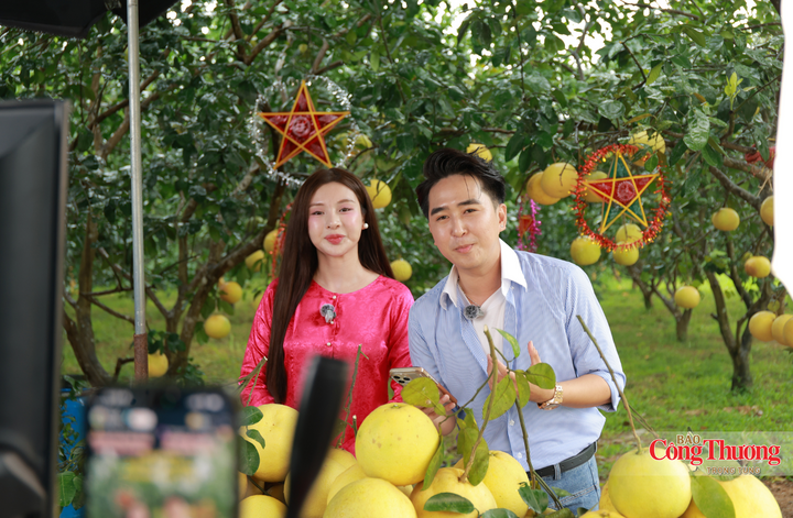 Từ 11h00 đến 15h00 ngày 17/9/2026, tại xã Phúc Trạch, tỉnh Hà Tĩnh đã diễn ra phiên Mega Live với chủ đề “Trăng về Hà Tĩnh - Quà quê trao tình” trên nền tảng TikTok.